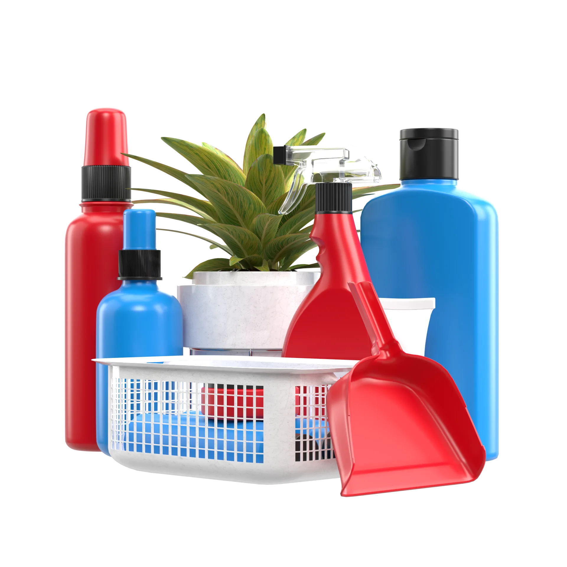 Regular Cleaning